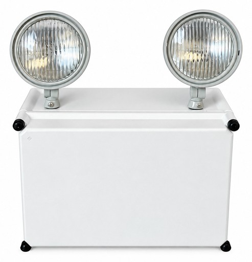 NEMA EX Series